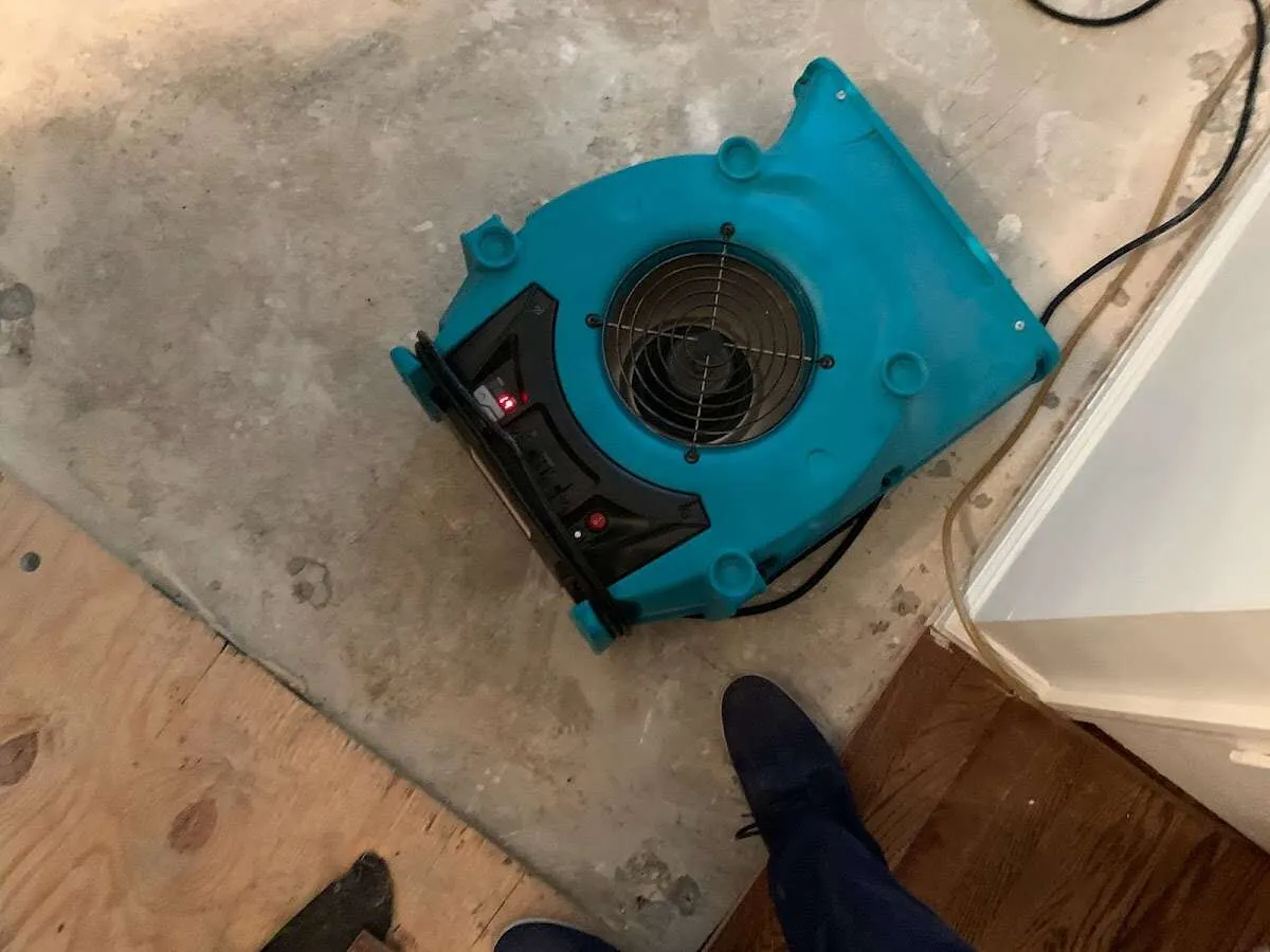 Air mover drying subfloor during Commercial Water Damage Restoration in Hamilton